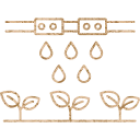 svg-1-1