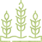 svg-1-5